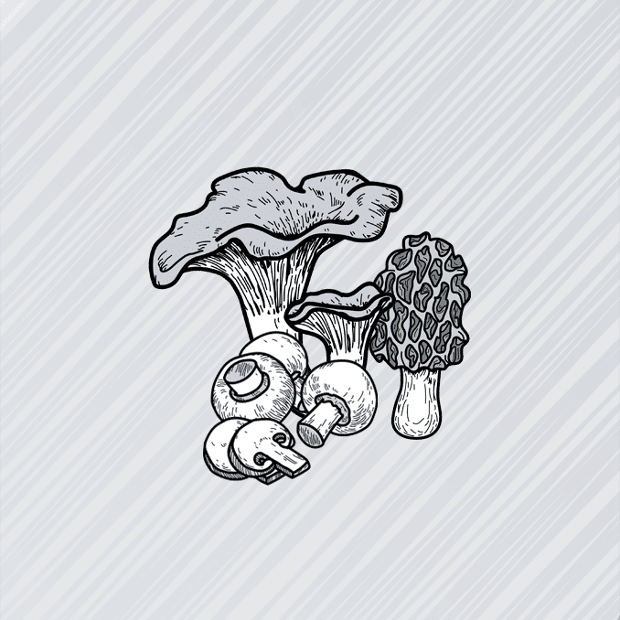15. Iberico Bellota Ham – approx. 5/lb, 14. Matsutake Mushrooms – approx. 0/lb, 13. La Bonnotte Potatoes – approx. 5/lb, 12. Kobe Beef – approx. 0/lb, 11. White Alba Truffle – approx. ,860/lb, 10. Saffron – approx. ,300/lb, 9. Tahitian Vanilla Beans – approx. ,700/lb, 8. Almas Caviar – approx. ,700/lb, 7. Kopi Luwak Coffee – approx. ,140/lb, 6. Ayam Cemani Chicken – approx. ,150/lb, 5. Pule Cheese – approx. ,570/lb, 4. Densuke Black Watermelon – approx. ,000 each (up to ,500/lb), 3. White Winter Truffle (large specimens) – up to ,300/lb, 2. Edible Gold Flakes – approx. ,000/lb, 1. Fatty Bluefin Tuna (Toro from Hon-maguro) – up to ,000/lb