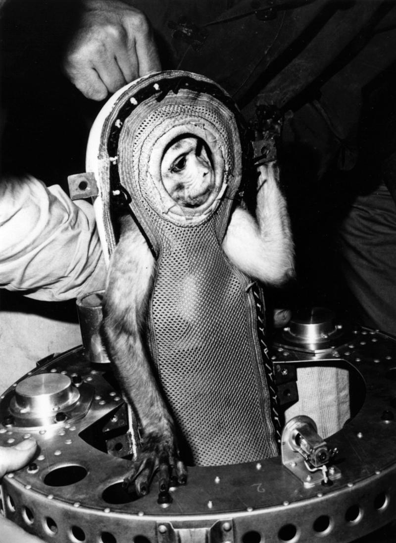 Soyuz MS-22, Has anyone ever gotten lost in space?, Deaths above the Kármán line, Soyuz 11, Spacesuits, How would you die if you weren't wearing a suit?, The liquid in the body would boil, Air in the lungs, How would your body decompose in space?, The body won't explode, Hit by micrometeoroids, Would the body eventually leave the solar system?, What would happen if someone died on the International Space Station?