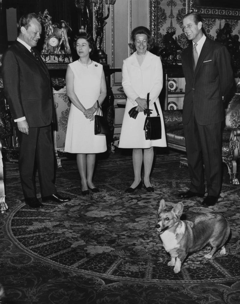Dog's life Young mother, Coronation, Impressing the kiwis, Dog's life, Birthday, International, Garden party, Easter service, Trooping the Colour, RAF Marham