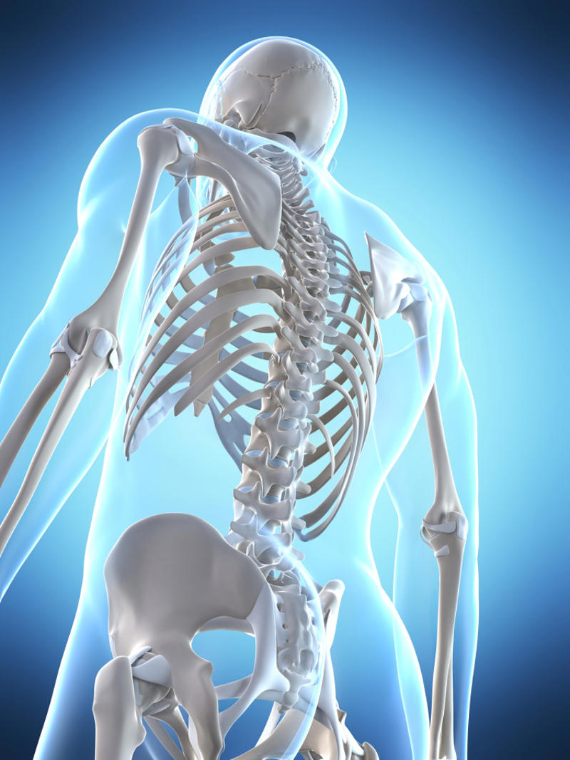 You've got healthy bones Restful and consistent sleeping patterns, You have good energy levels, Your skin bounces back when you pinch it, You maintain good oral health, You have regular menstrual cycles, You have a healthy heart, You average two common colds a year, You've got healthy bones, Your circulation is good, Your muscles have definition, You can pass the sitting-rising test, You love listening to music, You love preparing and cooking food
