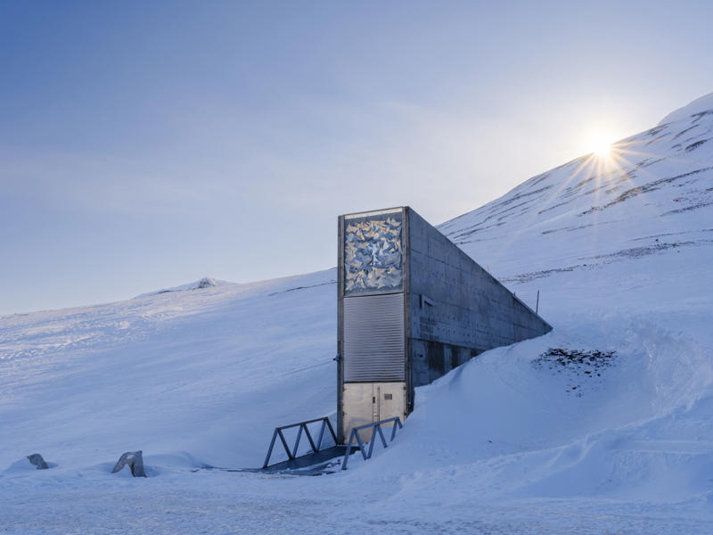 'Perpetual Repercussion' What is the Svalbard Global Seed Vault?, What is germplasm?, The state of agriculture today, Why is crop diversity important?, The best environment for seed preservation, Who runs the Vault?, Who participates?, Deep in the mountain, How exactly are the seeds preserved?, Who can access the Vault?, The Nordic Gene Bank, The Plant Treaty, 'Perpetual Repercussion', The 2016 water intrusion scare