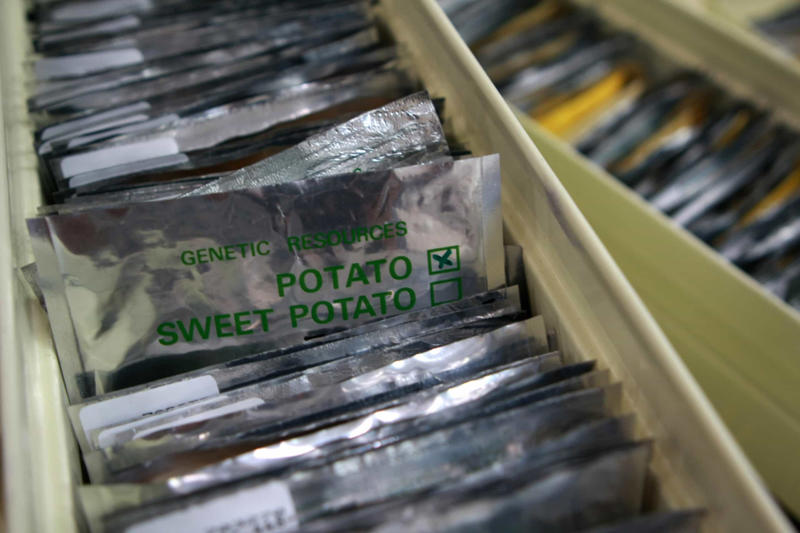 How exactly are the seeds preserved? What is the Svalbard Global Seed Vault?, What is germplasm?, The state of agriculture today, Why is crop diversity important?, The best environment for seed preservation, Who runs the Vault?, Who participates?, Deep in the mountain, How exactly are the seeds preserved?, Who can access the Vault?, The Nordic Gene Bank, The Plant Treaty, 'Perpetual Repercussion', The 2016 water intrusion scare