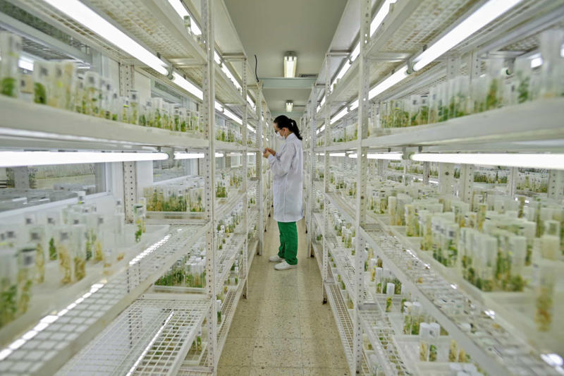 What is germplasm? What is the Svalbard Global Seed Vault?, What is germplasm?, The state of agriculture today, Why is crop diversity important?, The best environment for seed preservation, Who runs the Vault?, Who participates?, Deep in the mountain, How exactly are the seeds preserved?, Who can access the Vault?, The Nordic Gene Bank, The Plant Treaty, 'Perpetual Repercussion', The 2016 water intrusion scare