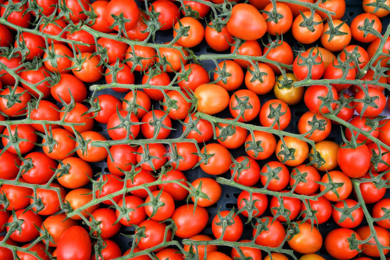 Use tomato juice Take out the trash regularly, Use baking soda on your carpet, Open the windows, Get an air purifier, Keep towels as dry as possible, Use drain cleaner, Use an air freshener, Light scented candles, Use essential oil, Line your trash cans, Keep the dishwasher clean, Use tomato juice, Reduce unpleasant smells from the fireplace, Make more use of fabric softener, Turn on your air filter