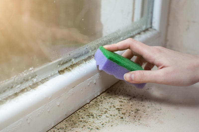 Check for mold, Vacuum the floors, Dust visible spots, Empty walls, The entryway, The scent, Clean your windows, Give your kitchen a quick clean, Do the laundry and change linens, Don't professionally clean your carpets, Skip cleaning out closets, Don't clean the laundry room, Don't pick up every last toy, Skip organizing the refrigerator