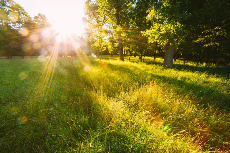 Vitamin D, Concentration, Brain activity, Hands on the land, Get your hands dirty, Pollution, Breathing, Serotonin, Fresh air