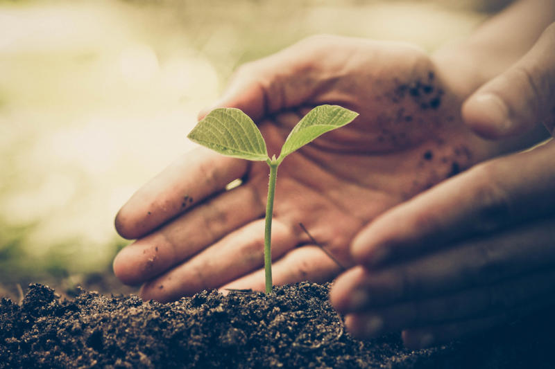 Vitamin D, Concentration, Brain activity, Hands on the land, Get your hands dirty, Pollution, Breathing, Serotonin, Fresh air