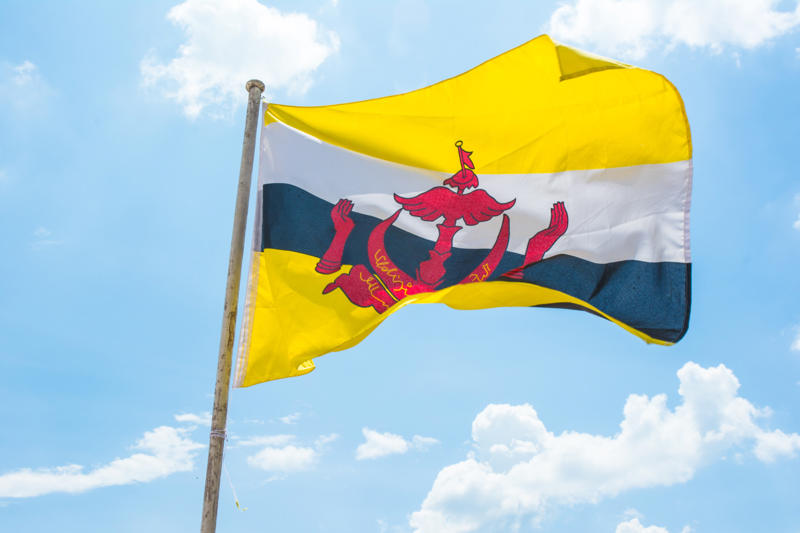 5. Brunei The Great Unretirement, Economic pressures, Labor shortages, Evolving perspectives, A high likelihood, 10. Luxembourg, 8. Iceland, 6. Japan, 4. Saudi Arabia, 2. Italy, 9. Croatia, 7. Australia, 5. Brunei, 3. Netherlands