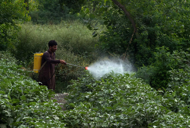 4. Herbicides and pesticides 2. Antibiotics, 3. Distance from nature, 4. Herbicides and pesticides, 5. Stress and poor sleep