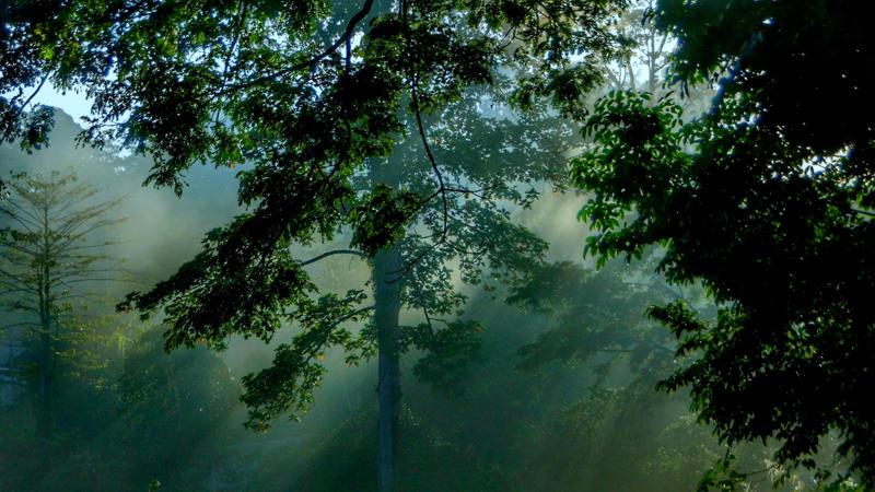 3. Distance from nature 2. Antibiotics, 3. Distance from nature, 4. Herbicides and pesticides, 5. Stress and poor sleep