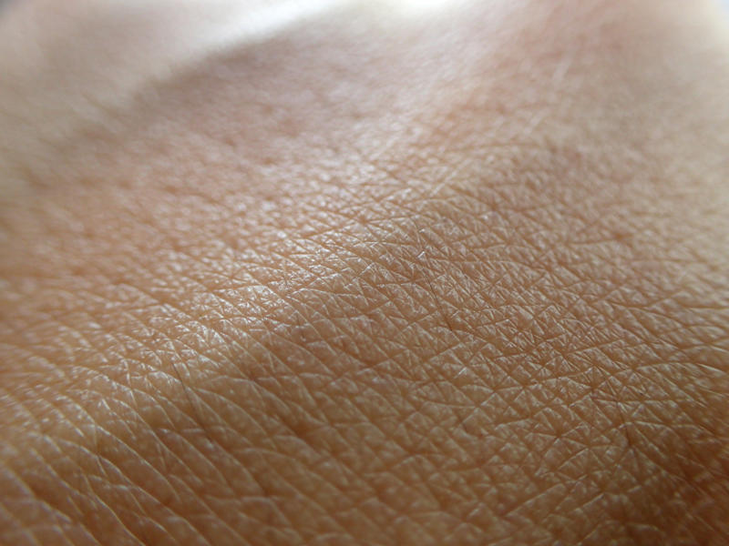 Skin barrier Ingredient-led beauty, Ingredient claims, Ingredient claims, Ingredient claims, Search surge, Millennials and Gen Z, Fad, or foresight?, Skin layers, Skin barrier, The middle layer: dermis, Biomolecules, Formulations, Dermis layer absorption, Peptides, Investigation