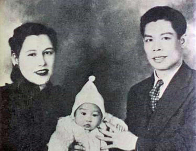 Bruce Lee, Siblings, Child star, Other fighting skills, First school, Fighting style, 'The Green Hornet', Hollywood, Unfinished work, One-inch punch, Poet and philosopher, Womanizer, New theories, Statue of Bruce Lee