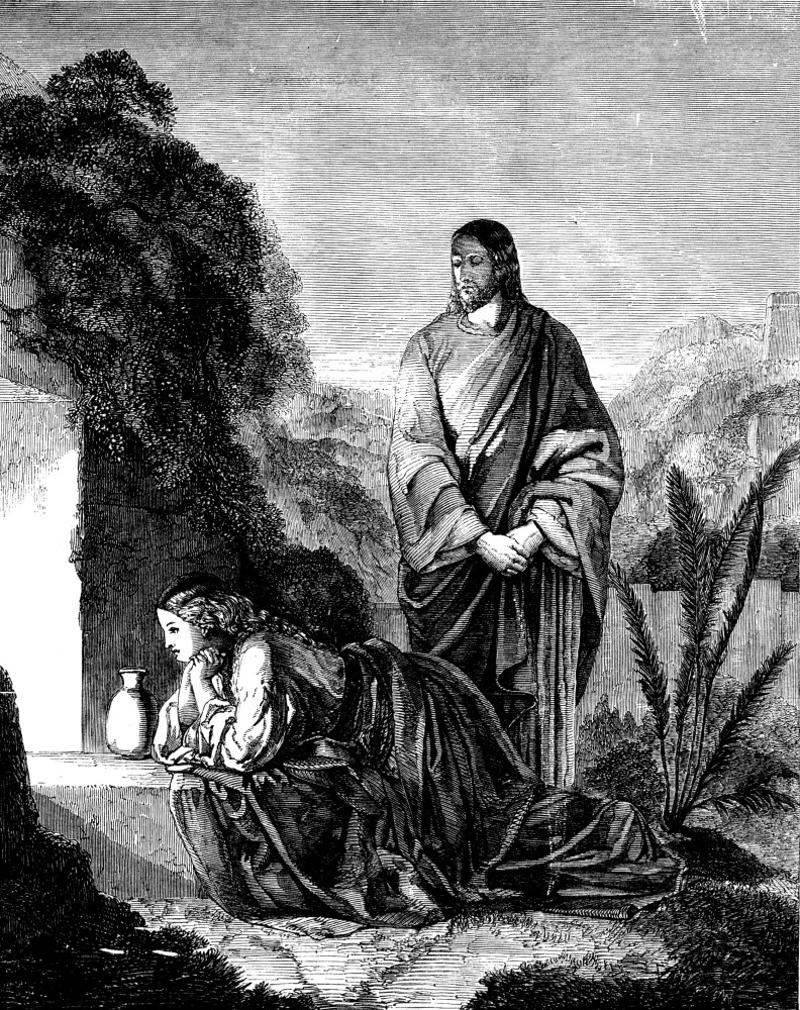 The lost years of Jesus, Jesus stayed in Nazareth and worked as a carpenter, Jesus got married and had children, Jesus spent years studying and arguing with scholars, Jesus became a monk and lived by the Dead Sea, Jesus traveled to India, Jesus was a shepherd, Jesus traveled to Tibet, Nepal, and India, and lived in a monastery, Jesus traveled to Britain, Jesus traveled to the Americas, Jesus lived (and died) in Japan