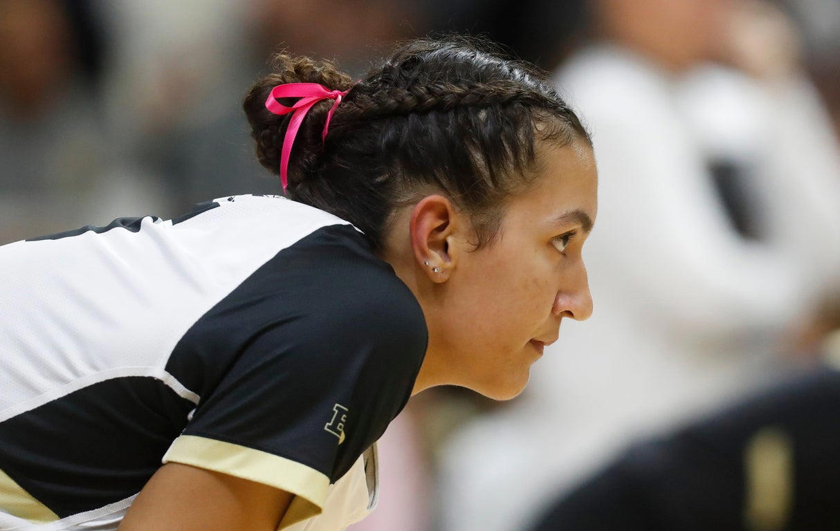 2024 NCAA Women's Volleyball: Stunning close-up photography