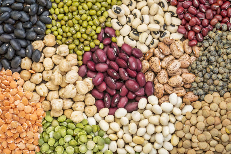 Beans Cruciferous vegetables, Whole wheat bread, Dairy products, Carbonated drinks, Polyols (sugar alcohols), Too much protein, Canned tuna, Horseradish
