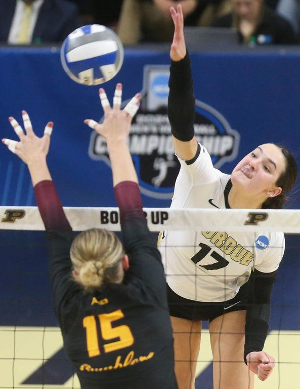 2024 NCAA Women's Volleyball: Stunning close-up photography