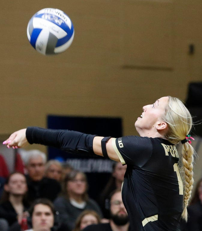 2024 NCAA Women's Volleyball: Stunning close-up photography
