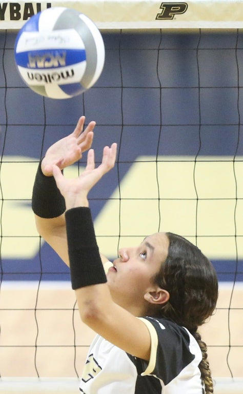 2024 NCAA Women's Volleyball: Stunning close-up photography