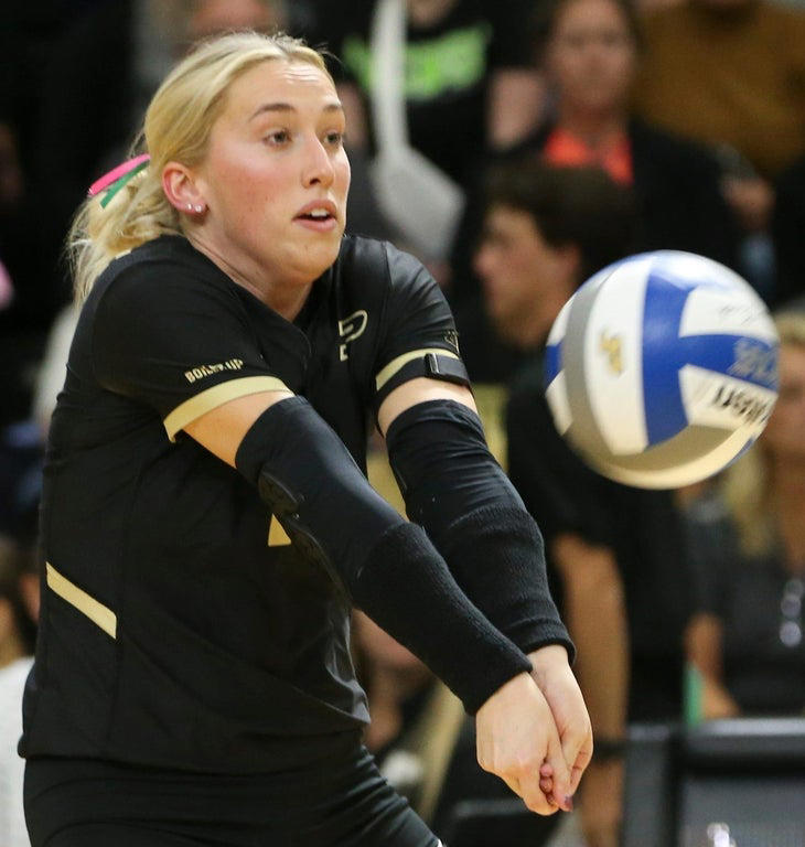 2024 NCAA Women's Volleyball: Stunning close-up photography