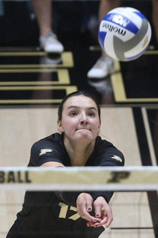 2024 NCAA Women's Volleyball: Stunning close-up photography