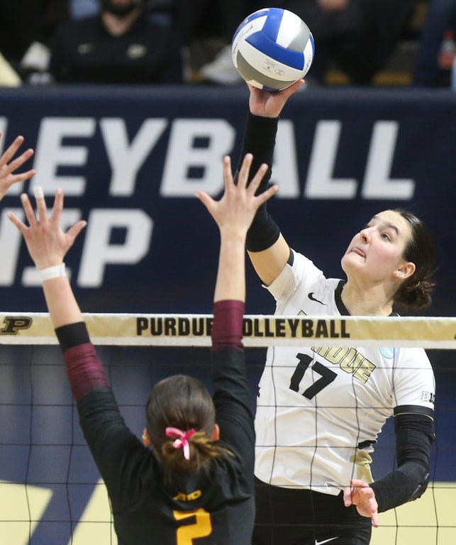 2024 NCAA Women's Volleyball: Stunning close-up photography