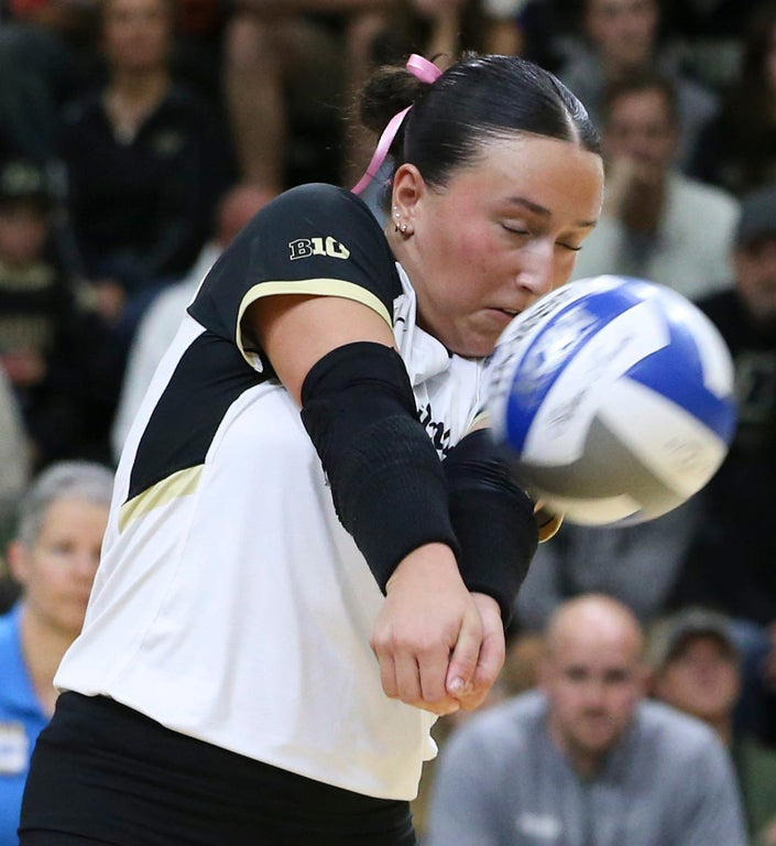 2024 NCAA Women's Volleyball: Stunning close-up photography