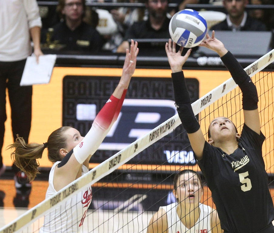 2024 NCAA Women's Volleyball: Stunning close-up photography