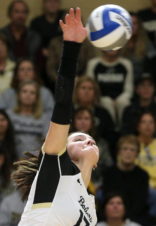 2024 NCAA Women's Volleyball: Stunning close-up photography