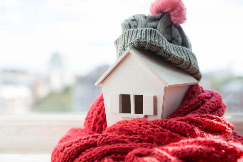 Better insulate your home Be aware of shrinkflation, Buy the car you’re leasing, Time your expected purchases, Seek a higher return on happiness, Better insulate your home, Update your CV, Watch for falling prices, Shop frozen foods, Discover local farmers, Use it or lose it, Cut salon cost, Shop second hand, Reduce energy use, Look for cheaper alternatives, Research past inflation trends