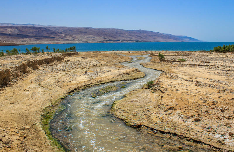 The Dead Sea, An extraordinary natural wonder, Old and isolated, Never on the level, A river of no return, More salinity than the world's oceans, Not much chance of life, New life found, The wrath of God, "The Dead Sea will live again", The real enemy, The Wadi Mujib, Seabed surprise, New species