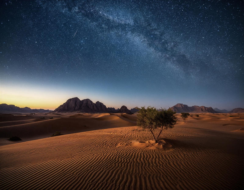 The "panzoic effect", Humanity's timeless connection to the stars, The cosmic quest, The explosive growth in exoplanet discoveries, Unveiling Venus, The optimism of modern astrobiology, Imagining a thriving universe, Life’s resilience, A call for unity, Curiosity and wonder, Transcending the self, Vision for a better future