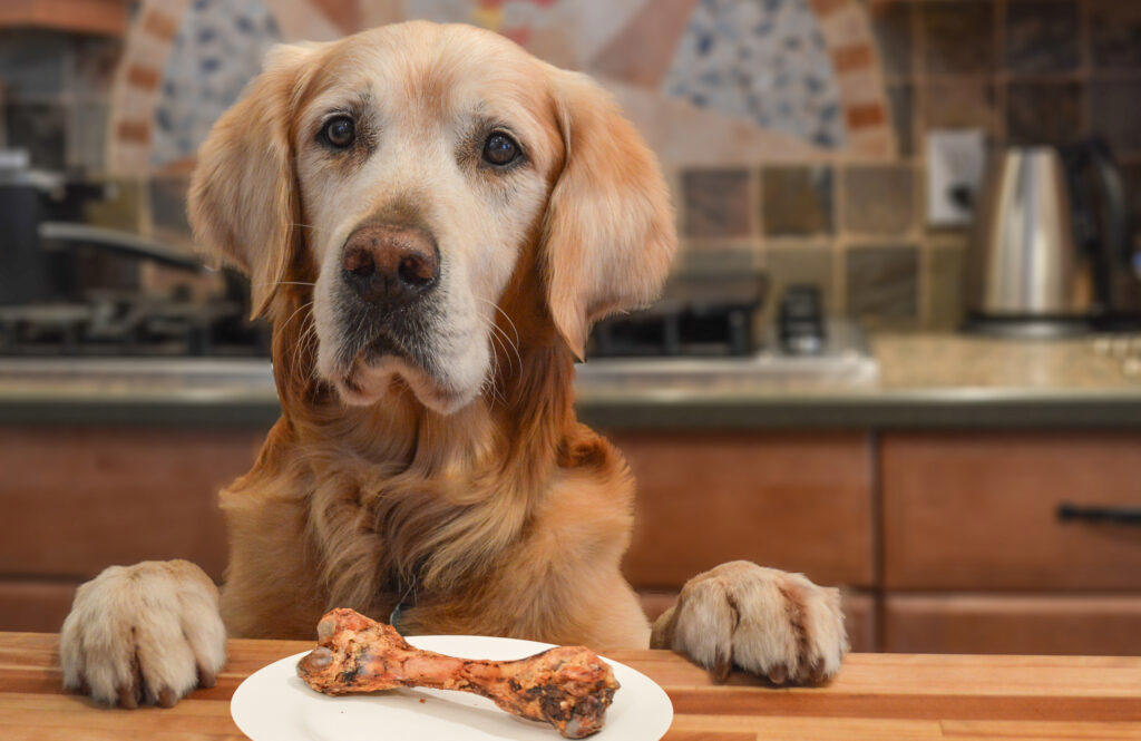 Tip #1: Keep Ingredients Simple and Safe, Tip #2: Choose the Right Treat Size, Tip #3: Store Them Properly, Tip #4: Consider Dietary Needs, Tip #5: Make It Fun and Involve the Family, Recipe #1: Peanut Butter &amp; Banana Dog Cookie, Recipe #2: Tuna and Catnip Cat Treats, Recipe #3: Frozen Chicken Broth Cubes (Dogs or Cats), Recipe #4: Apple and Carrot Bunny Bites, Recipe #5: Hamster-Friendly Seed Balls, Have Fun Treat-Making!