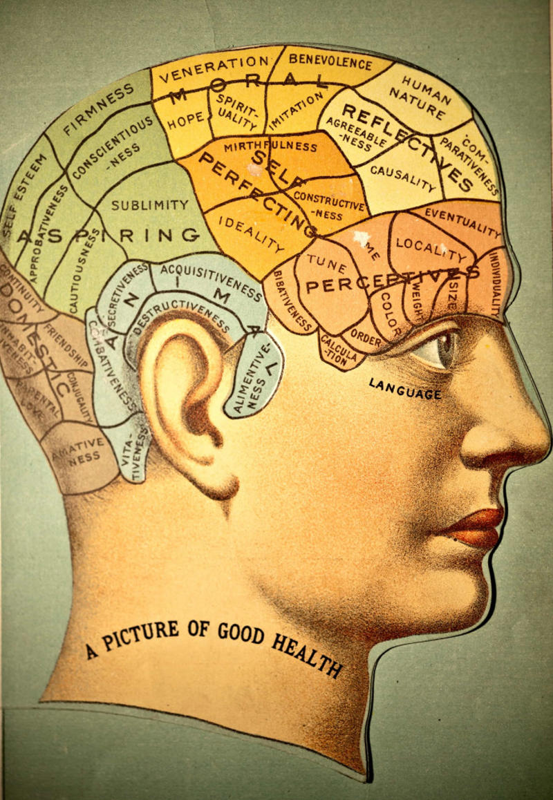Phrenology Irreversible cell differentiation, Spontaneous generation, Phrenology, Geocentric theory, Phlogiston, The Piltdown Man, The age of the earth, The blank slate theory, Einstein's Universe, Planet Vulcan, The growing earth theory, The creation of killer bees, The fen-phen diet, The MTBE problem, The Milky Way as the entire universe