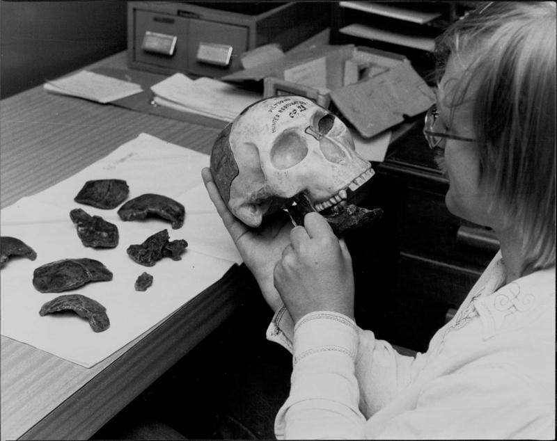 The Piltdown Man Irreversible cell differentiation, Spontaneous generation, Phrenology, Geocentric theory, Phlogiston, The Piltdown Man, The age of the earth, The blank slate theory, Einstein's Universe, Planet Vulcan, The growing earth theory, The creation of killer bees, The fen-phen diet, The MTBE problem, The Milky Way as the entire universe