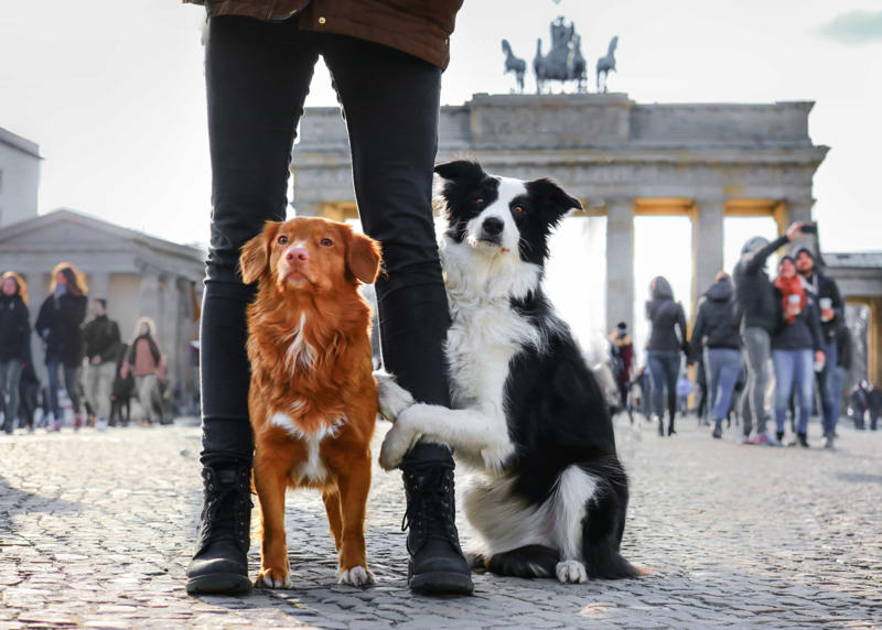 Berlin, Germany Vancouver, Canada, Tel Aviv, Israel, New York City, USA, Sydney, Australia, Tokyo, Japan, Seattle, USA, Prague, Czech Republic, Berlin, Germany, Rome, Italy, London, England, San Francisco, USA, Geneva, Switzerland, Paris, France, Amsterdam, Netherlands, Toronto, Canada