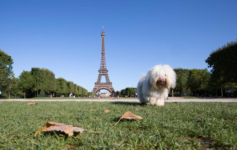 Paris, France Vancouver, Canada, Tel Aviv, Israel, New York City, USA, Sydney, Australia, Tokyo, Japan, Seattle, USA, Prague, Czech Republic, Berlin, Germany, Rome, Italy, London, England, San Francisco, USA, Geneva, Switzerland, Paris, France, Amsterdam, Netherlands, Toronto, Canada