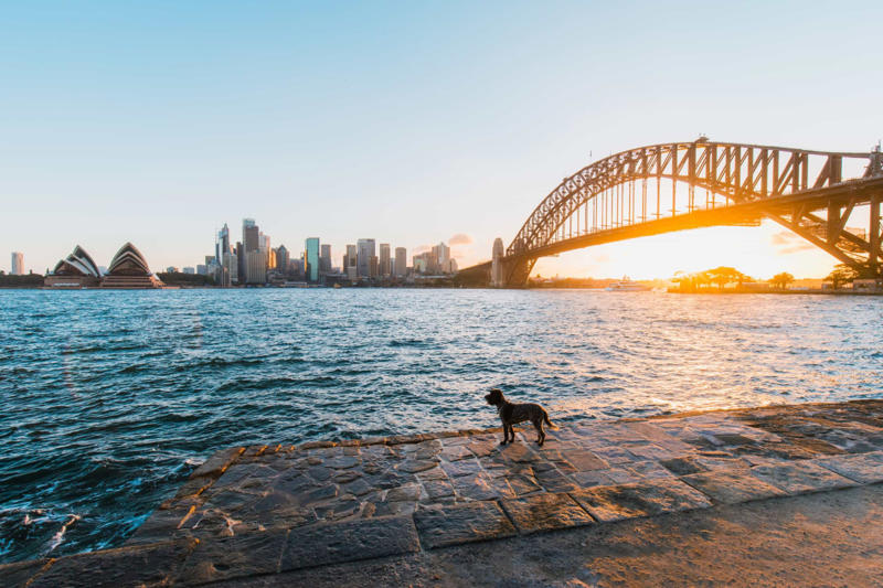 Sydney, Australia Vancouver, Canada, Tel Aviv, Israel, New York City, USA, Sydney, Australia, Tokyo, Japan, Seattle, USA, Prague, Czech Republic, Berlin, Germany, Rome, Italy, London, England, San Francisco, USA, Geneva, Switzerland, Paris, France, Amsterdam, Netherlands, Toronto, Canada