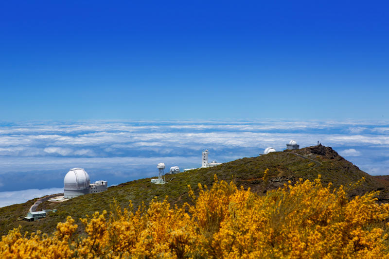 Roque de los Muchachos Observatory, Spain La Silla Observatory, Chile, Kitt Peak National Observatory, USA, Mauna Kea Observatories, USA, Australian Astronomical Observatory, Australia, Roque de los Muchachos Observatory, Spain, South African Astronomical Observatory, South Africa, Arecibo Observatory, Puerto Rico, Indian Astronomical Observatory, India, Royal Observatory, Scotland, Griffith Observatory, USA, Karl G. Jansky Very Large Array, USA, Atacama Large Millimeter Array, Chile, South Pole Telescope, Antarctica, Very Large Telescope, Chile, Sydney Observatory, Australia, Yerkes Observatory, USA