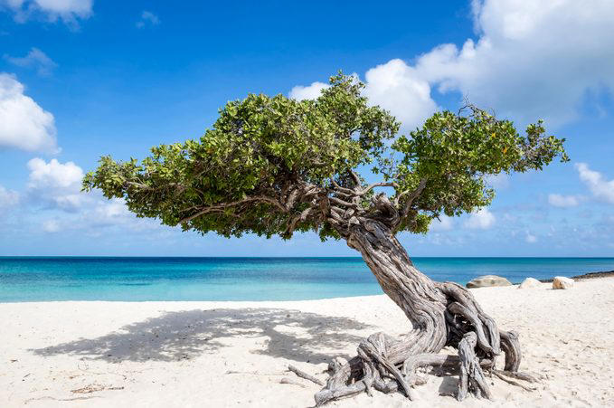 1. Elafonissi Beach, 2. Banana Beach, 3. Eagle Beach, 4. Siesta Beach, 5. Praia da Falesia, 6. Varadero Beach, 7. Bavaro Beach, 8. Playa de Muro Beach