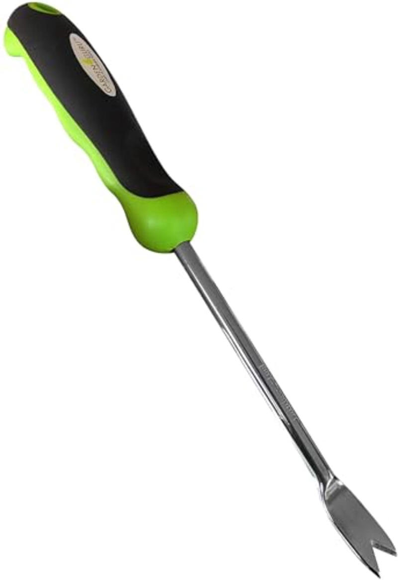 Is weeding important?, The best weeding tools for every gardener in 2025, How to shop for weeding tools, Frequently asked questions, Meet our experts, Why trust NBC Select?