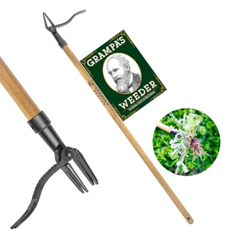 Is weeding important?, The best weeding tools for every gardener in 2025, How to shop for weeding tools, Frequently asked questions, Meet our experts, Why trust NBC Select?