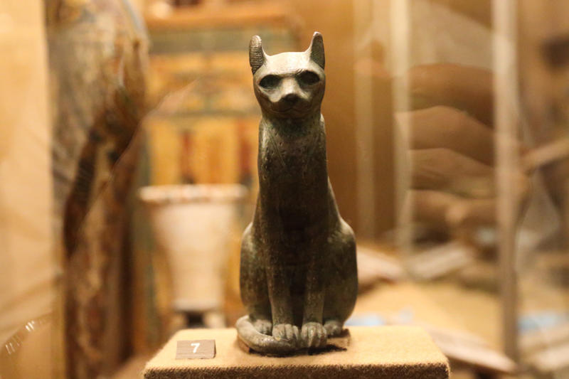 Cats: sacred and protected in ancient Egypt Sacred creatures: the countries that worship animals, The sacred cow, The tiger: a symbol of protection and strength, Elephants: icons of serenity and majesty, Pigs: symbols of luck and divine worship, Goats in ancient rituals and mythology, Dogs: sacred guardians, Horses: symbols of deities, Cats: sacred and protected in ancient Egypt, Snakes: symbols of strength and renewal, The sacred bull: a universal symbol, Wolves: spiritual guardians or divine trials?, The sacred she-wolf, The eagle: a sacred symbol in Native American culture, Lions: guardians in China and divine symbols in Egypt, Sacred sheep and Banebdjedet: Egyptian symbolism