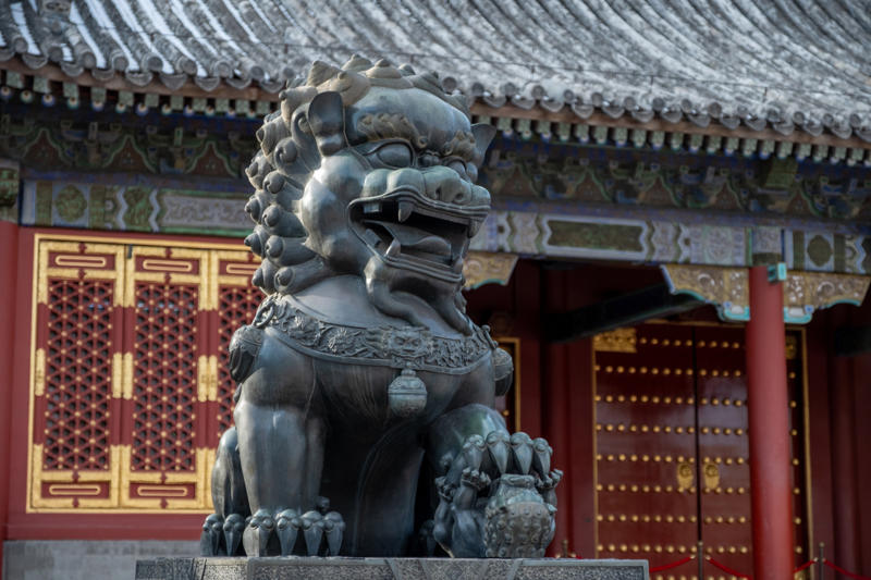 Lions: guardians in China and divine symbols in Egypt Sacred creatures: the countries that worship animals, The sacred cow, The tiger: a symbol of protection and strength, Elephants: icons of serenity and majesty, Pigs: symbols of luck and divine worship, Goats in ancient rituals and mythology, Dogs: sacred guardians, Horses: symbols of deities, Cats: sacred and protected in ancient Egypt, Snakes: symbols of strength and renewal, The sacred bull: a universal symbol, Wolves: spiritual guardians or divine trials?, The sacred she-wolf, The eagle: a sacred symbol in Native American culture, Lions: guardians in China and divine symbols in Egypt, Sacred sheep and Banebdjedet: Egyptian symbolism