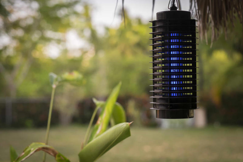 Mosquito zappers Deep fryer, Electric egg cooker, Mosquito zappers, Space-saving vacuum bags, Filing cabinets, Popcorn machine, Electric can opener, Salad spinner, Exercise gadgets, Paperweights, Egg separator, Banana slicer, Coffee pods, Bottled water, Label maker, Ultrasonic pest repellents