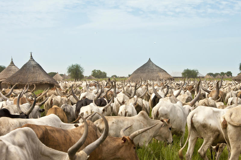 No UNESCO World Heritage sites: South Sudan No river, No river: Kuwait, No river: Oman, No river: Saudi Arabia, No forest: San Marino, No forest: Oman, No Olympic medal, No Olympic medal: Madagascar, No Olympic medal: Myanmar, No farms, No farms: Monaco, No airport, No airport: Monaco, No airport: Liechtenstein, No army: Mauritius, No army: Vanuatu, No army: Costa Rica, No army: Panama, No army: Iceland, No coastline, No coastline: Mali, No coastline: Niger, No coastline: Chad, No coastline: Mongolia, No coastline: Kazakhstan, No mountains, No mountains: Denmark, No mountains: Gambia, No mountains: Qatar, No mountains: Maldives, No UNESCO World Heritage sites, No UNESCO World Heritage sites: Liberia, No UNESCO World Heritage sites: Guyana, No UNESCO World Heritage sites: South Sudan, No UNESCO World Heritage sites: Somalia