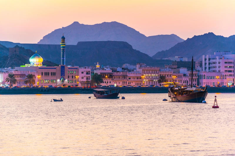 No forest: Oman No river, No river: Kuwait, No river: Oman, No river: Saudi Arabia, No forest: San Marino, No forest: Oman, No Olympic medal, No Olympic medal: Madagascar, No Olympic medal: Myanmar, No farms, No farms: Monaco, No airport, No airport: Monaco, No airport: Liechtenstein, No army: Mauritius, No army: Vanuatu, No army: Costa Rica, No army: Panama, No army: Iceland, No coastline, No coastline: Mali, No coastline: Niger, No coastline: Chad, No coastline: Mongolia, No coastline: Kazakhstan, No mountains, No mountains: Denmark, No mountains: Gambia, No mountains: Qatar, No mountains: Maldives, No UNESCO World Heritage sites, No UNESCO World Heritage sites: Liberia, No UNESCO World Heritage sites: Guyana, No UNESCO World Heritage sites: South Sudan, No UNESCO World Heritage sites: Somalia