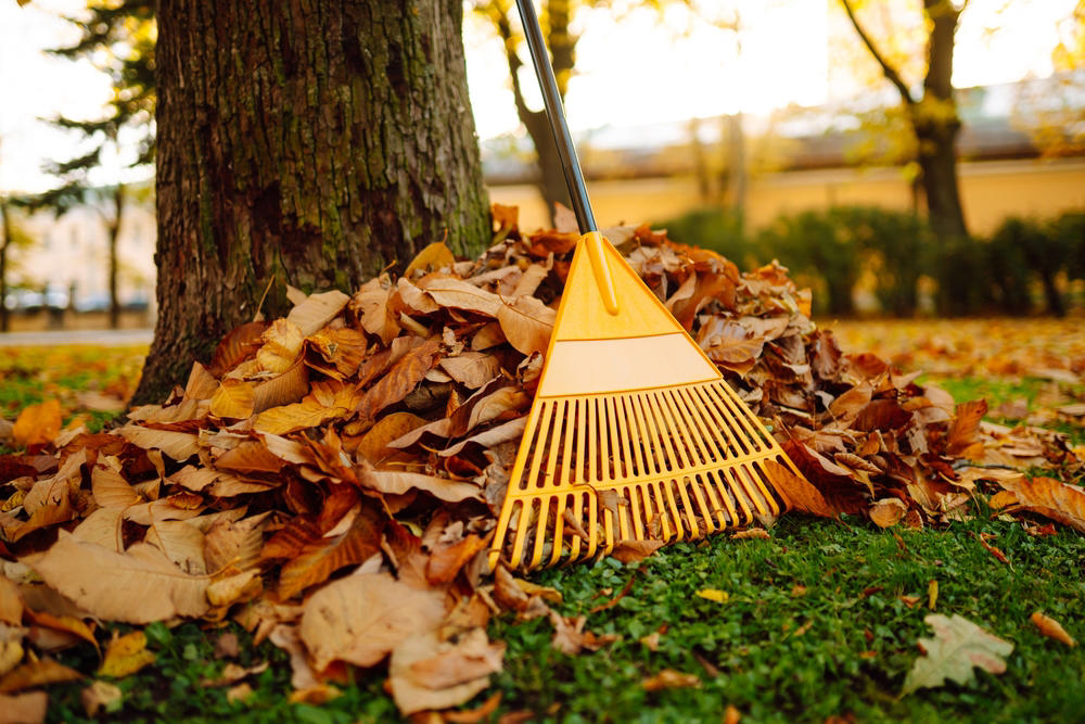 7. Keep Some Leaves in the Fall 1. Ditch the Plastic Pots, 2. Avoid Chemical Fertilizers, 4. Say Goodbye to Monoculture, 5. Plant According to Climate and Soil, 6. Skip Midday Gardening, 7. Keep Some Leaves in the Fall, 8. Don’t Water Daily, 9. Don’t Fight All the Insects