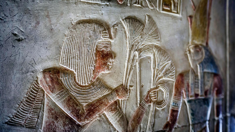 Ancient Egypt The first flowers, Ancient Egypt, Ancient Greece, The 19th century, Floristry, Mother's Day, Floriography today, Flowers you shouldn't gift to someone, Giving flowers today