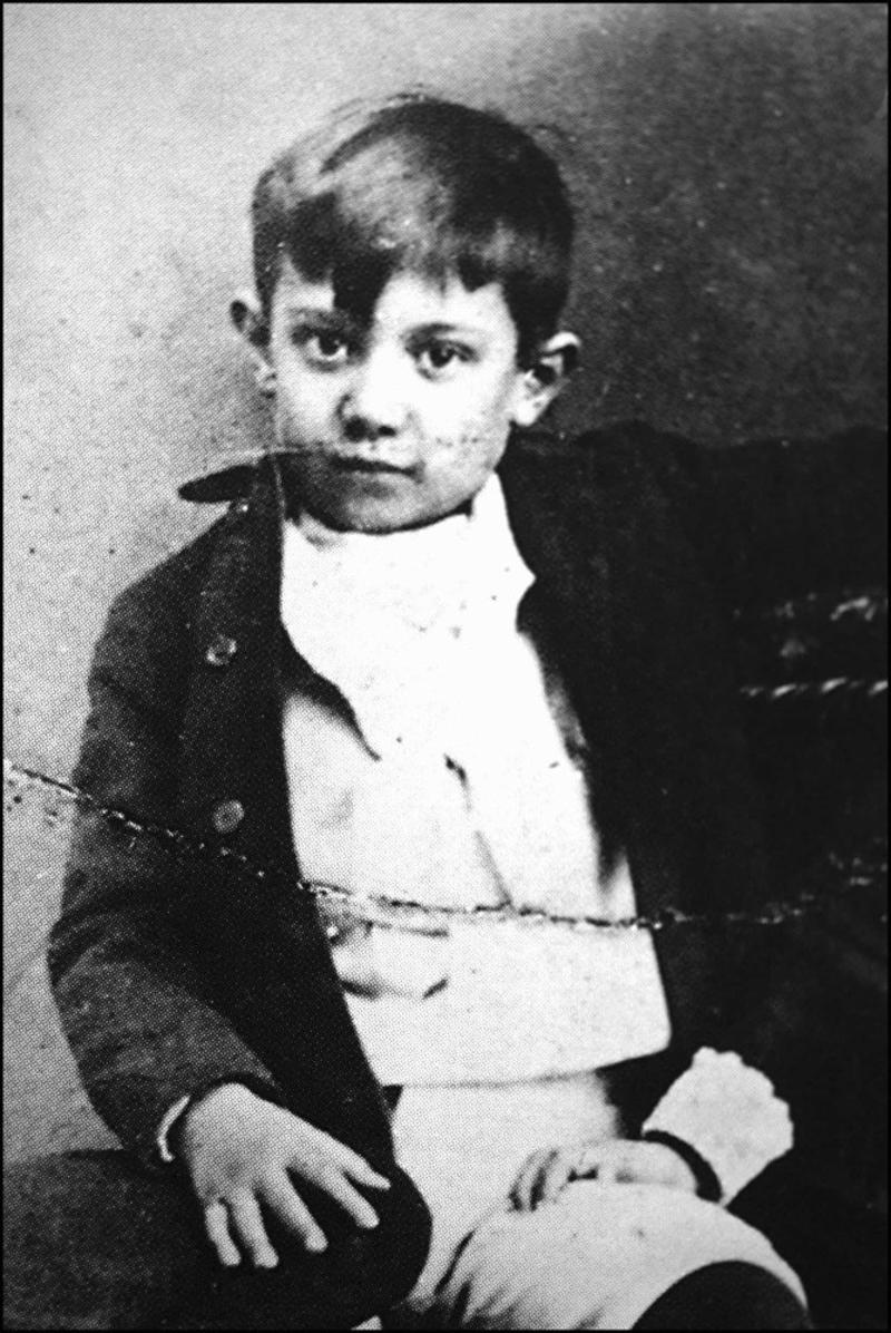 A weak child The pride of Spain, What's in a name?, A weak child, Rebel student, Child prodigy, First artworks, The mysterious silhouette, A controversial perfectionist, The birth of Cubism, Cubism named, Robbery suspect, Accused of theft, Political message, Communist, Body of work