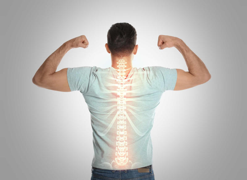 Spine health, Proper nutrition, What to eat for good spine health, Plant-based proteins, Leafy green vegetables, Omega-3 fatty acids, Herbs and spices, Rosemary, Red grapes, Reduce swelling, boost nerve function, Go bananas!, Are you nuts?